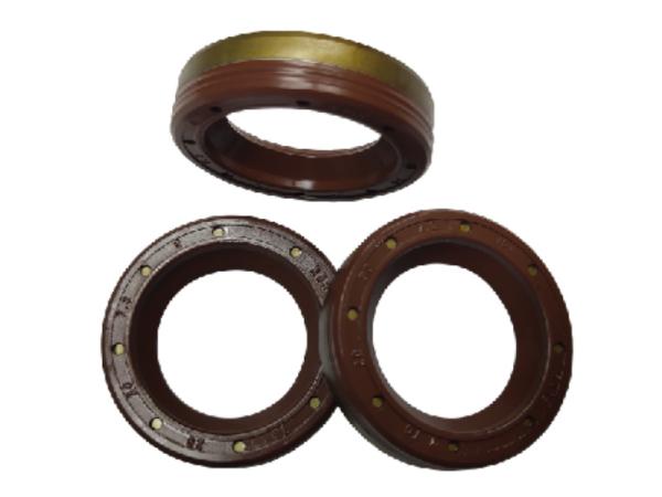 Oil Seal