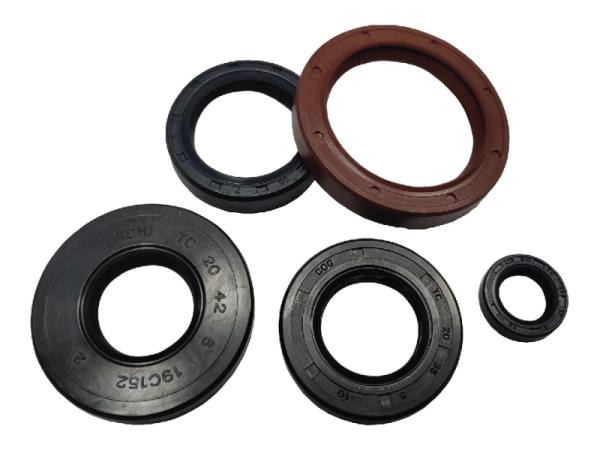 Oil Seal